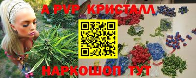 СК Донецк