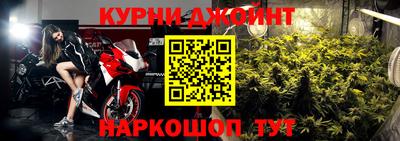 молекула духа Донской