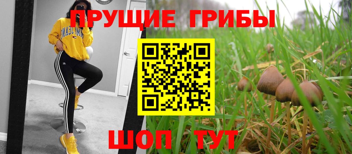 закладка  Псилоцибиновые грибы Psilocybe  Вход с VPN  Галлюциногенные грибы Cubensis  Карачаевск 